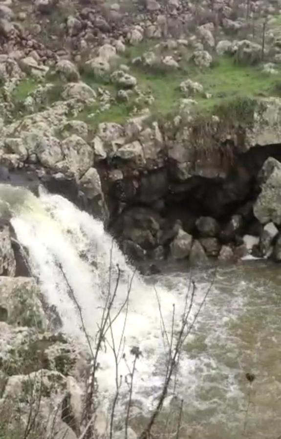 Luxury Caravan Truck In The Golan Heights Bruchim Qela' Alon Exteriör bild