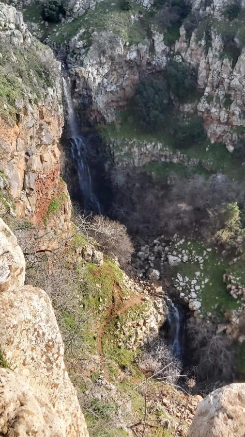 Luxury Caravan Truck In The Golan Heights Bruchim Qela' Alon Exteriör bild